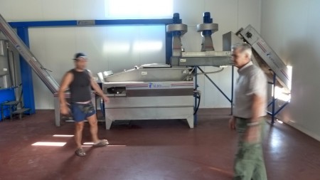 Továreň na olivový olej - triedičky s umývačkou olív