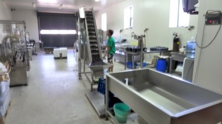 Továreň na spracovanie olív - baliareň olív